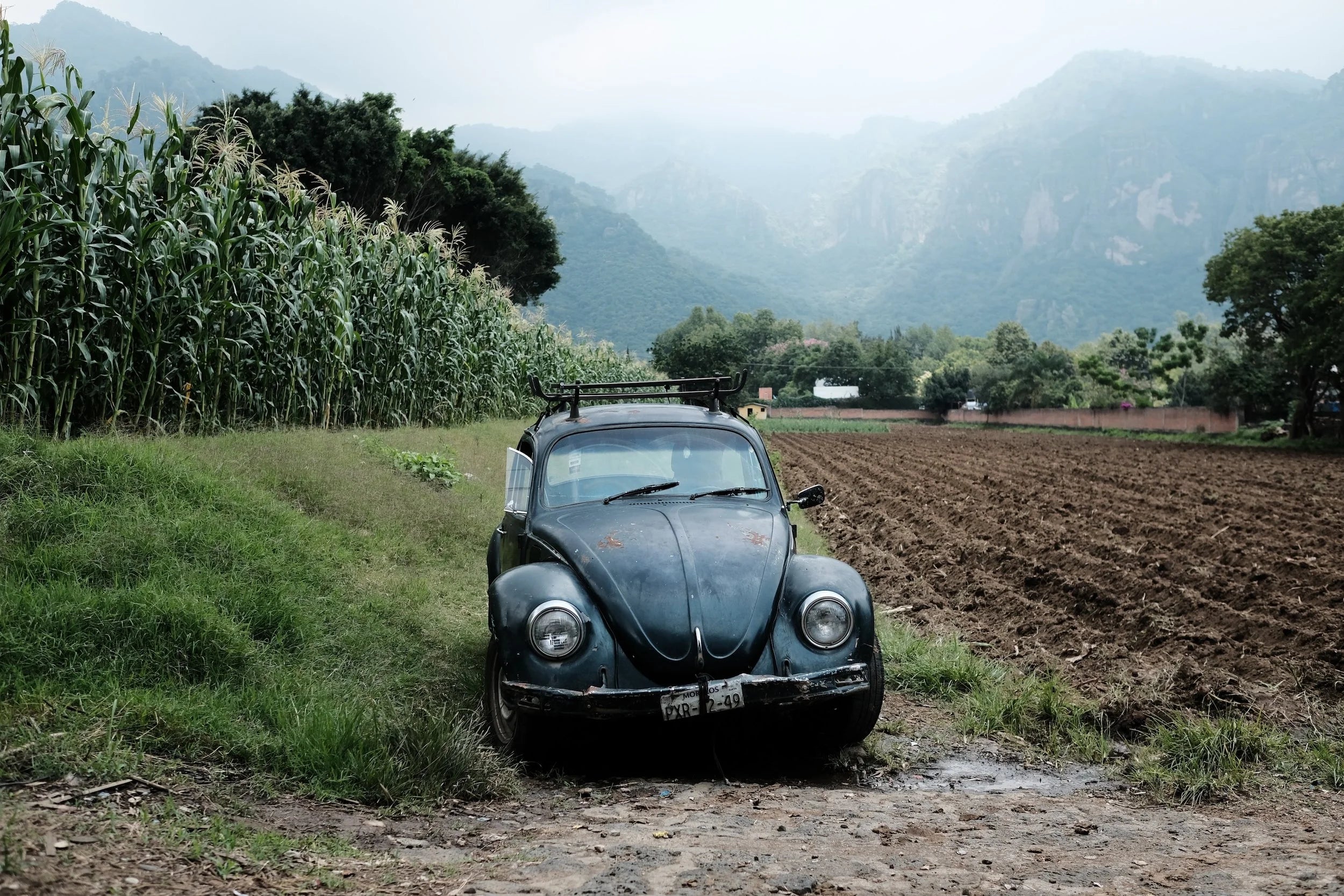 5 Vochos that Perfectly Represent Mexico's Volkswagen Beetle
