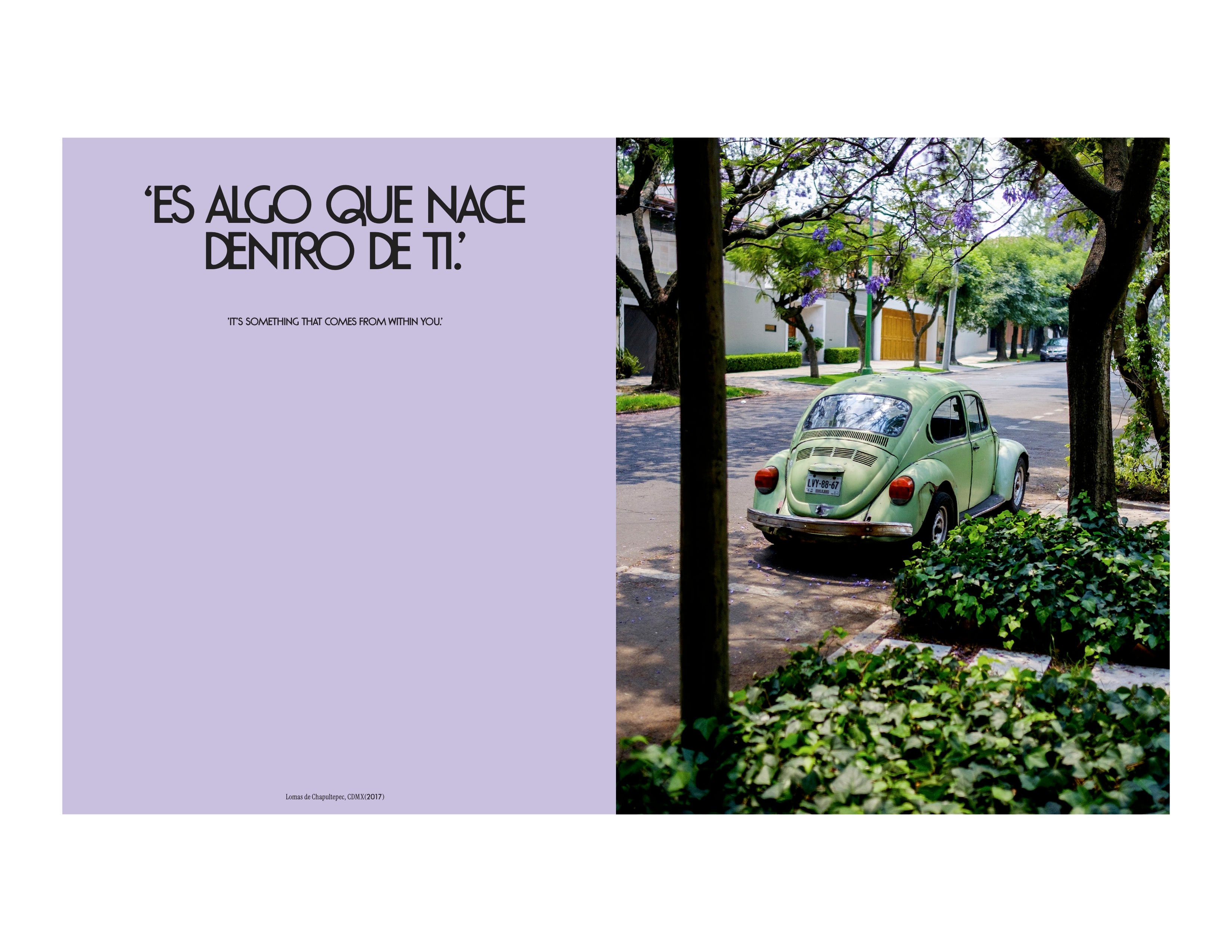 Image of a green Volkswagen Beetle parked on the street in Mexico City against lush trees and bushes, in a spread from the new book Vochos Unidos by Rodrigo Gaya Villar, published by Carrara Media. A coffee table book of automotive photography showing the Volkswagen Beetle across Mexico, aka "El Vocho." Available now.