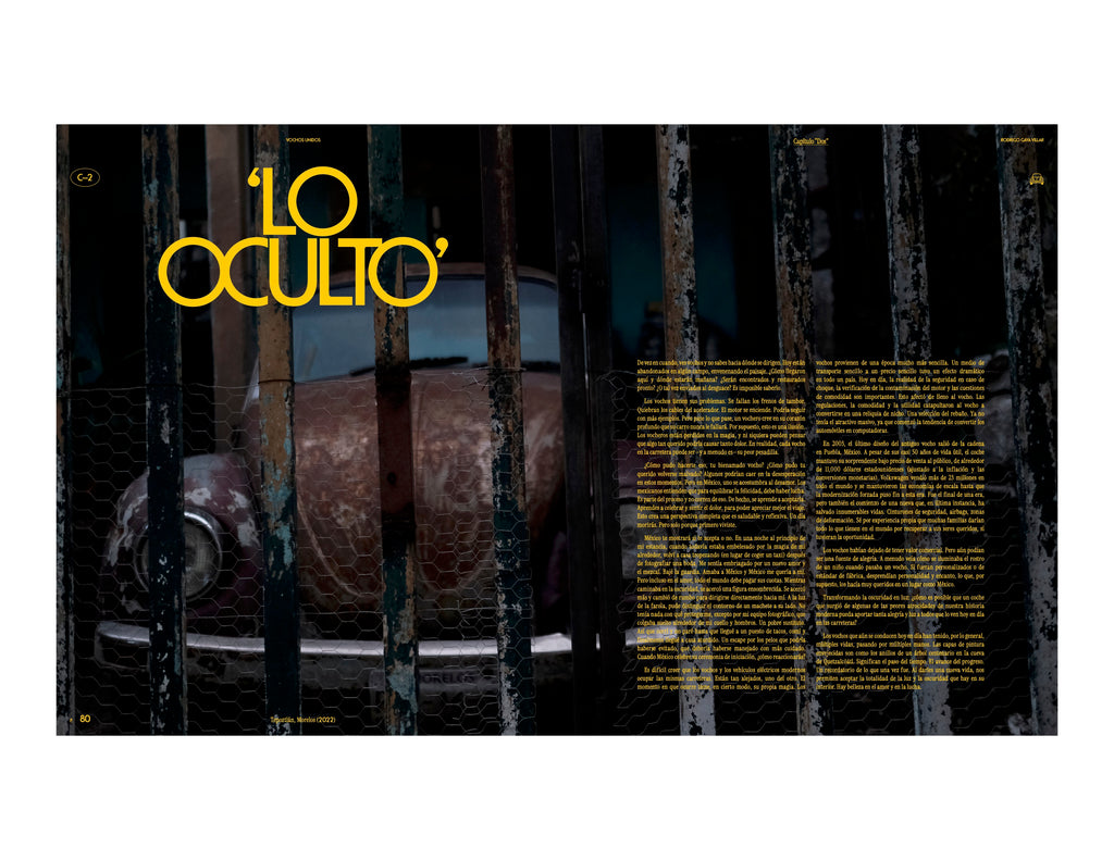 Image of a rusted brown Volkswagen Beetle locked behind a gate in Tepoztlan, in a spread from the new book Vochos Unidos by Rodrigo Gaya Villar, published by Carrara Media. A coffee table book of automotive photography showing the Volkswagen Beetle across Mexico, aka "El Vocho." Available now.