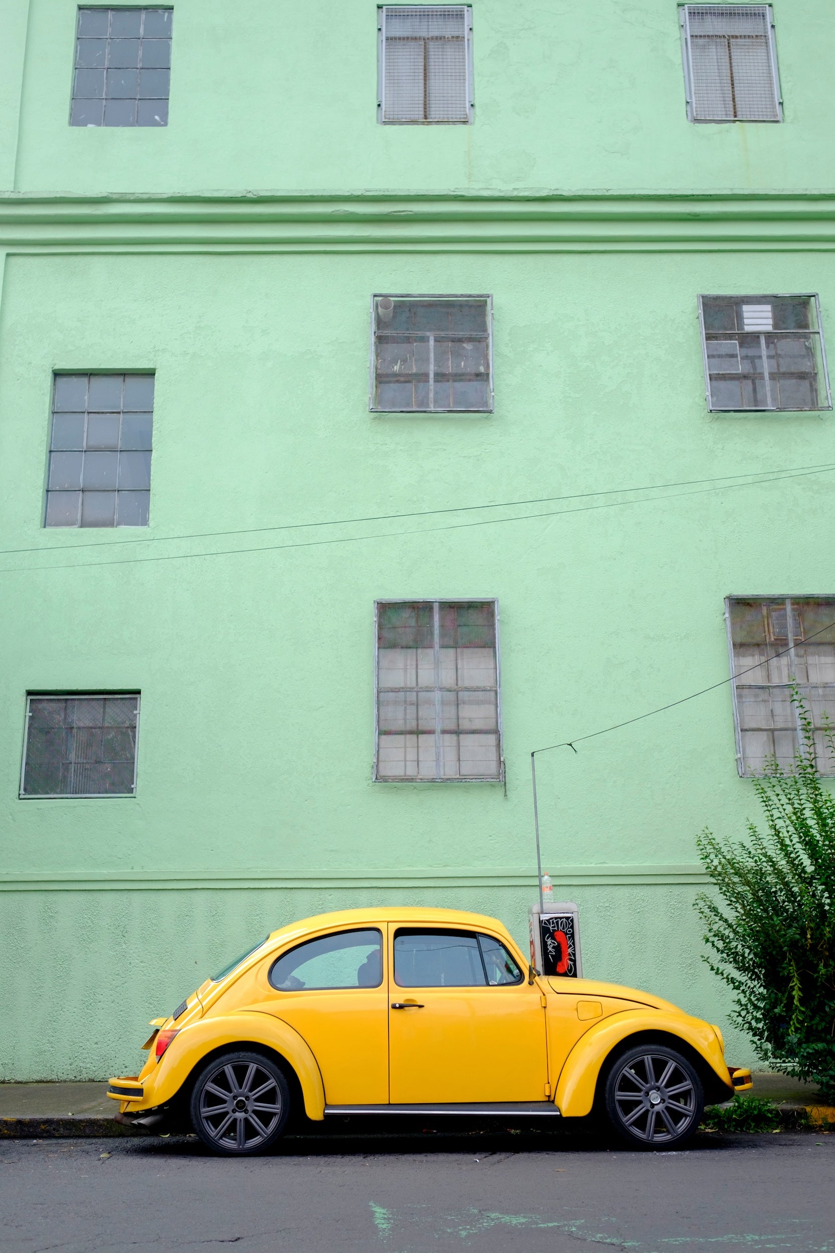 Image of a yellow Volkswagen Beetle against a soft green building in Mexico City, from the new book Vochos Unidos by Rodrigo Gaya Villar, published by Carrara Media. A coffee table book of automotive photography showing the Volkswagen Beetle across Mexico, aka "El Vocho." Limited Edition with slipcase and Leen Customs pin available for 500 copies only.